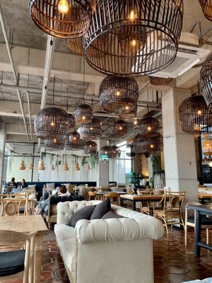   at Tropical Hideaway Cafe in Jeju