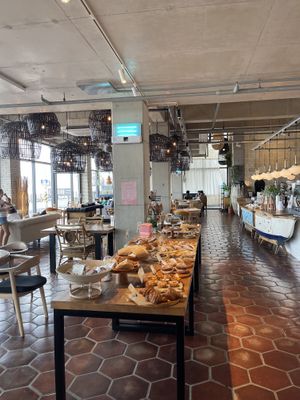 Vibe  at Tropical Hideaway Cafe in Jeju