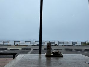 View  at Tropical Hideaway Cafe in Jeju