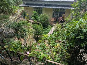 Garden underneath at Fuku Mame in Nanjo