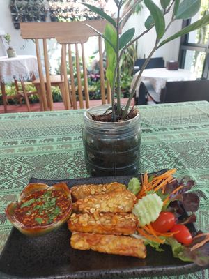 Tempeh sticks at Vlodge Vegan Hotel in Chiang Mai