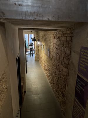 Downstairs to the toilets  at Das Nest in Mainz