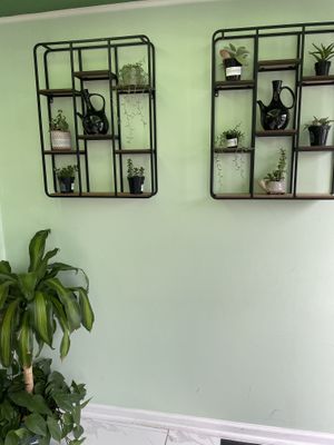 Inside at Greens N Teff in Arlington