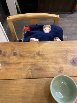 blankets😄 at Cafe Ren - Nakagyo in Kyoto