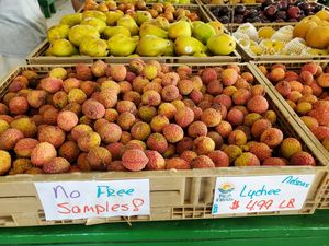 It's the Nelson Family Farm for Bill Lewis of Vero Beach, Florida.  at Nelson Family Farms in Fort Pierce