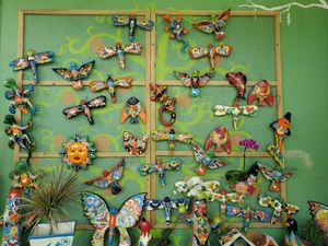 It's the Nelson Family Farm for Bill Lewis of Vero Beach, Florida.  at Nelson Family Farms in Fort Pierce