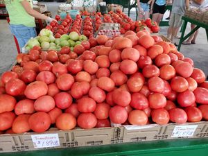 It's the Nelson Family Farm for Bill Lewis of Vero Beach, Florida.  at Nelson Family Farms in Fort Pierce