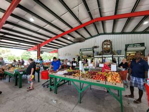 Nelson Family Farms in Fort Pierce on a busy Sunday afternoon.  at Nelson Family Farms in Fort Pierce