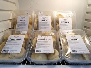 Pierogi at Ale Zdrowe in Wroclaw