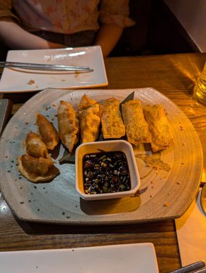 Dumplings combo at Franchia Vegan Cafe in New York City