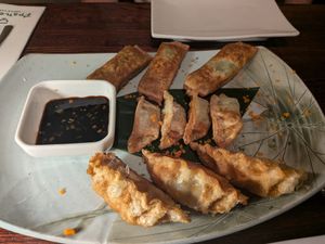 Dumpling platter at Franchia Vegan Cafe in New York City