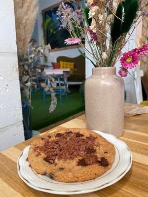 Cookie   at Garden in Angouleme