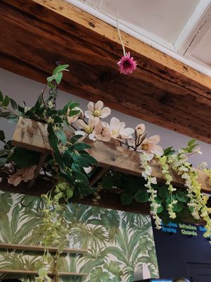  at Garden in Angouleme