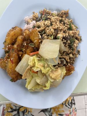 Three dishes with rice 60  at Tien Sin - Si Wiang in Bangkok