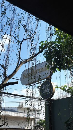  at Soedirman Coffee & Eatery in Bandung