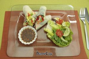 summer rolls at Loving Hut in Madrid