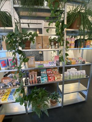   at Bakery Bakery - Länggasse in Bern