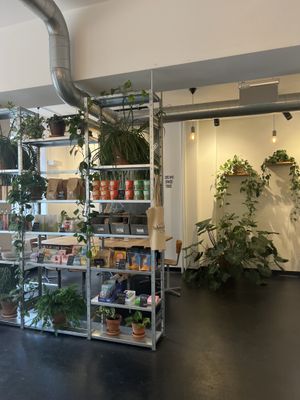 Cafe  at Bakery Bakery - Länggasse in Bern