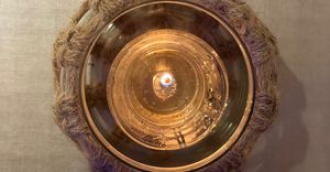  #Veganuary at Sushi Bardot in Buzios