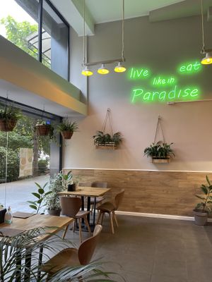 More plants 🪴  at Paradise Food in Skopje