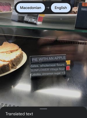 Apple Pie at Paradise Food in Skopje