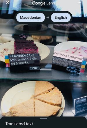 Interesting Google translations of ingredients! at Paradise Food in Skopje