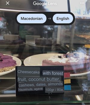 Cheesecake with forest fruits at Paradise Food in Skopje