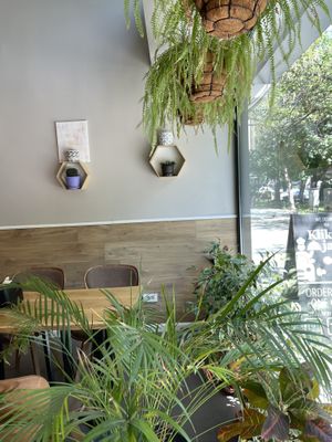   at Paradise Food in Skopje