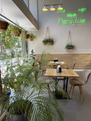   at Paradise Food in Skopje