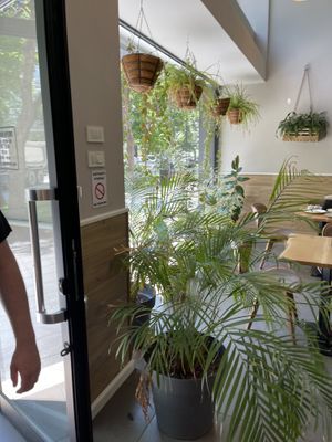   at Paradise Food in Skopje