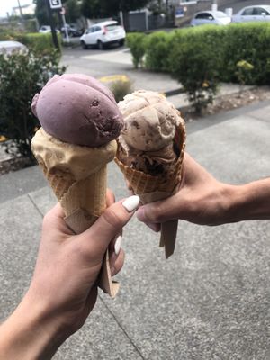Vegan ice creams  at Duck Island Ice Cream in Auckland