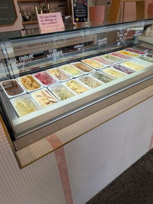  at Duck Island Ice Cream in Auckland