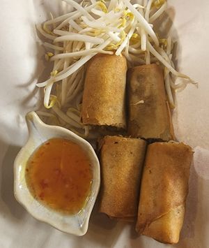 Spring Rolls at Vegan Society in Chiang Mai