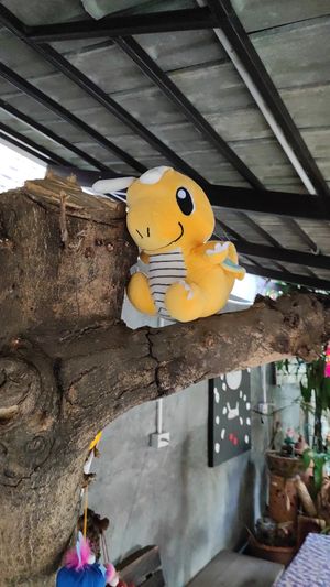  at Vegan Society in Chiang Mai