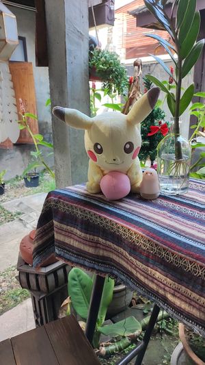  at Vegan Society in Chiang Mai