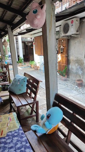  at Vegan Society in Chiang Mai