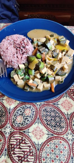Red curry paste w/tofu eggplant and pumpkin+ red rice at Vegan Society in Chiang Mai