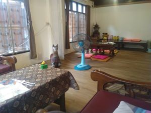 Room at Vegan Society in Chiang Mai