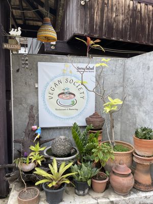   at Vegan Society in Chiang Mai