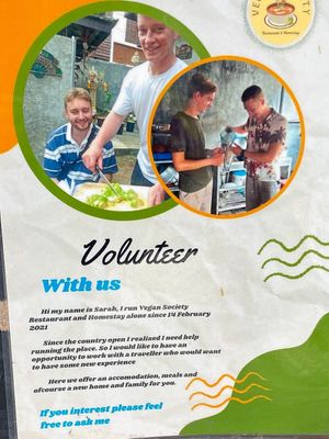   at Vegan Society in Chiang Mai