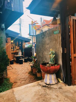   at Vegan Society in Chiang Mai