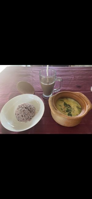 Yellow curry with rice  at Vegan Society in Chiang Mai