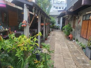  at Vegan Society in Chiang Mai