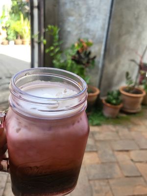Coconut 🥥 🌴 iced coffee 😋 at Vegan Society in Chiang Mai