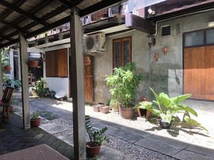   at Vegan Society in Chiang Mai