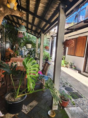  at Vegan Society in Chiang Mai