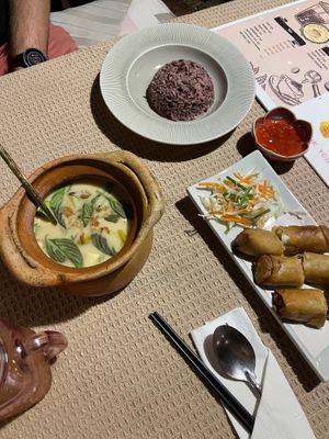 Red Curry und spring Rolls  at Vegan Society in Chiang Mai