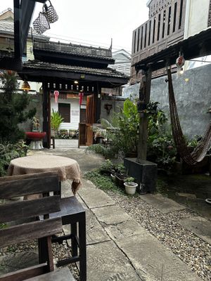 Great vibe  at Vegan Society in Chiang Mai