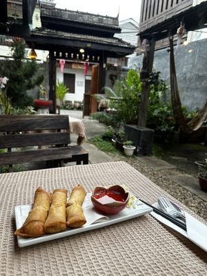 Spring rolls  at Vegan Society in Chiang Mai