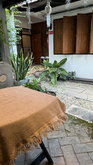 Sitting area  at Vegan Society in Chiang Mai